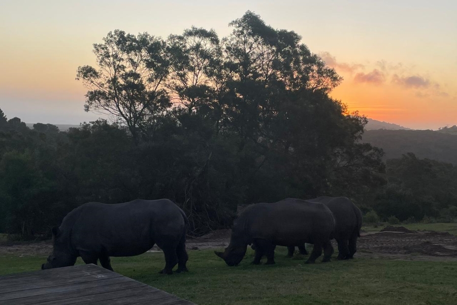 4 Bedroom Property for Sale in Kragga Kamma Eastern Cape